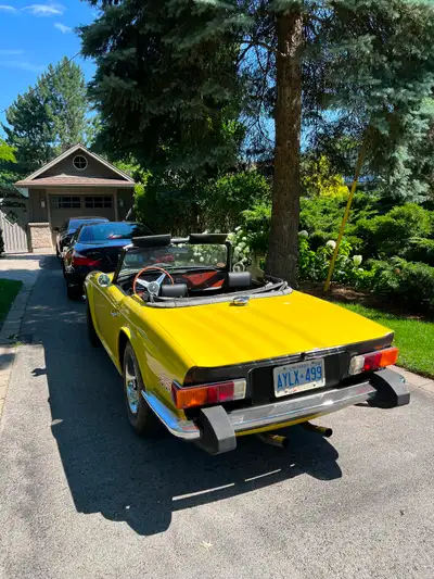 MINT 1976 TR-6, View more