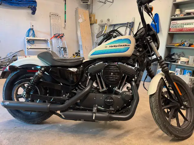 WTT or Sell 2019 Harley Davidson 1200 Iron in Street, Cruisers & Choppers in Winnipeg - Image 3