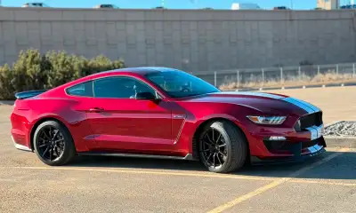Mint condition garage princess Shelby gt 350 Price is firm No test pilots