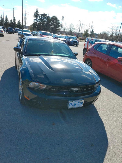 Ford Mustang 2010 v6. 4.0l. Automatic