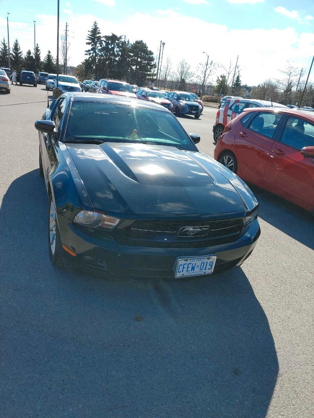 Ford Mustang 2010 v6. 4.0l. Automatic in Cars & Trucks in City of Toronto