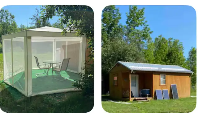 Gold cabin on 400 acres in Ontario in Canada - Image 4