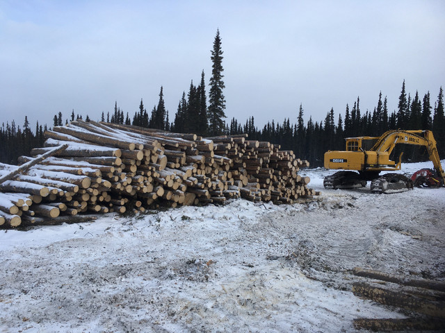 Saw Logs For Sale in Other in Whitehorse