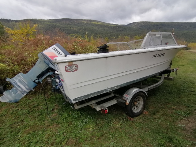 Double Eagle 17.5' fiberglass fishing boat package in Powerboats & Motorboats in Nelson - Image 2