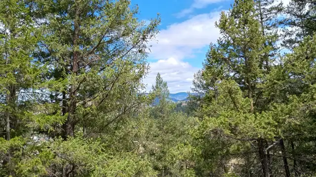 Princeton BC 1.999 Acres Land for Sale by Owner in Land for Sale in Penticton - Image 11