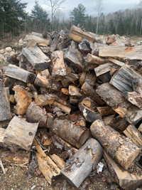 Seasoned campfire wood