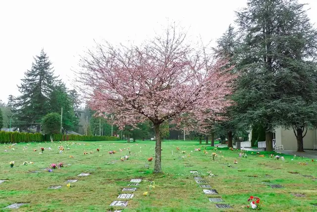 Side-by-Side Burial Plots (Pair) - Ocean View, Calvary 23 | Other ...