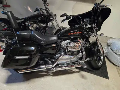For Sale: 2012 Canadian Harley-Davidson Sportster SuperLow XL883L – Only 12,000 km – Immaculate Cond...