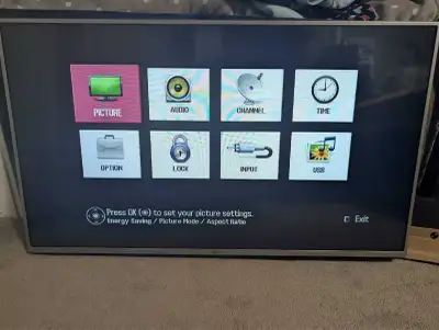 43 Inch Non Smart LG TV, View more