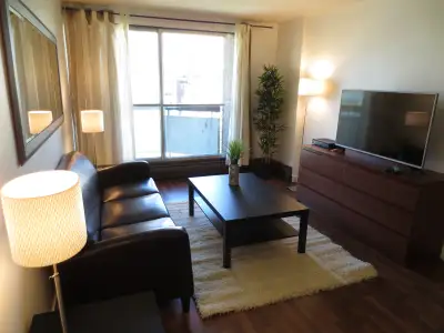 3 month minimum! Absolutely Beautiful, Fully Furnished 6th floor one bedroom condo with stunning vie...