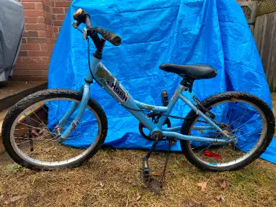 Older kid bicycle, good frame - likely needs tubes/chain replaced, maybe brakes serviced.