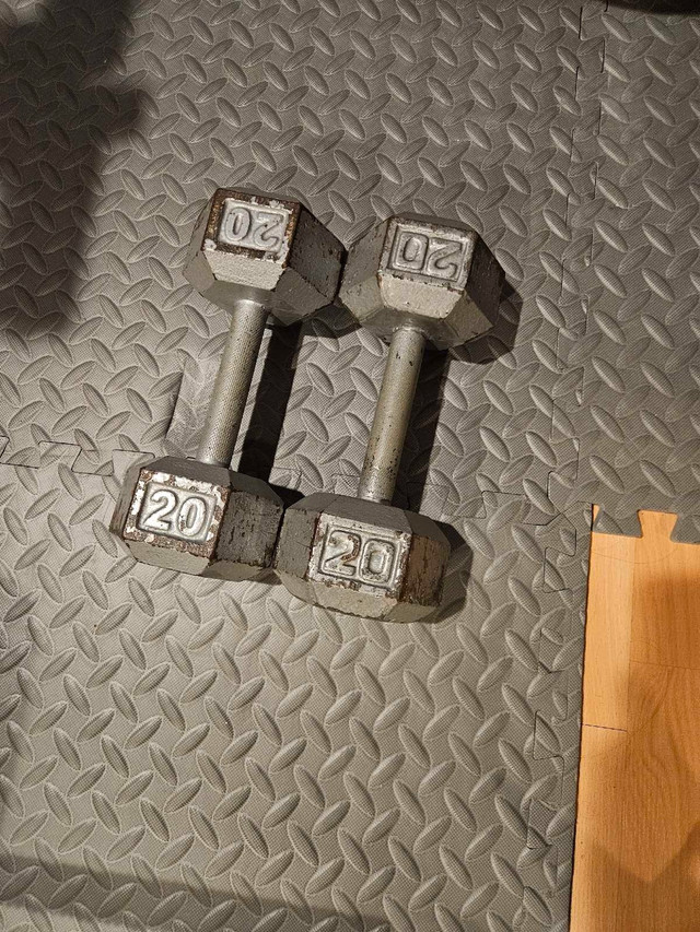 weight plates / poid disques / bench press dans Appareils d'exercice domestique  à Ville de Montréal - Image 4