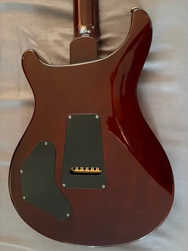 PRS 2020 DGT David Grissom Tremolo Core in Guitars in City of Toronto - Image 4