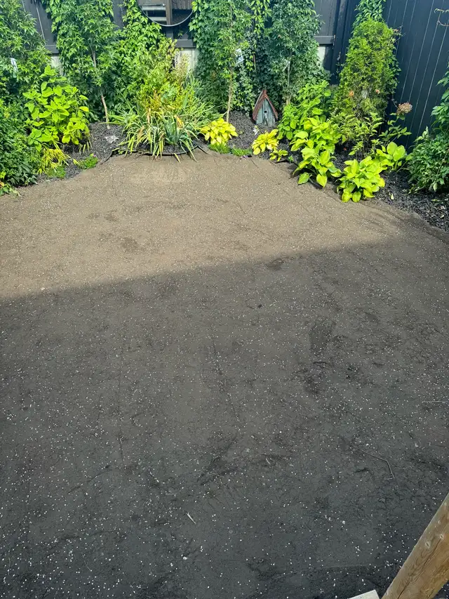 Sod Installation – Reliable & Affordable (GTA)63749436286977123