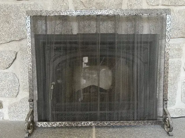 Grille rideau de foyer + 1 porte-bûches in Fireplace & Firewood in Québec City - Image 2