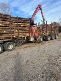 WANTED : cedar logs and fence posts
