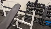 Northern Lights weight bench with leg curl attachment 