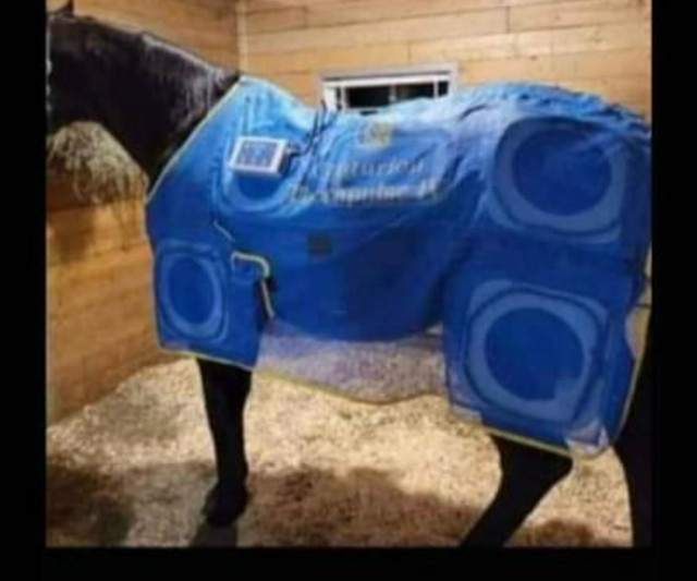 Centurion Blanket  in Equestrian & Livestock Accessories in Mississauga / Peel Region - Image 4