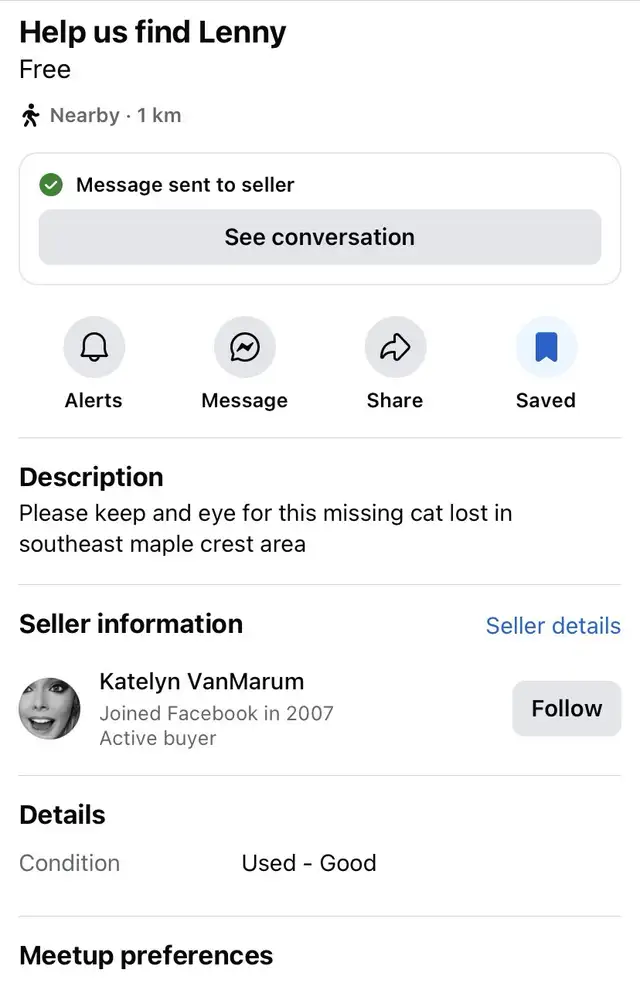 Lost Kitty Cat64208554498818121