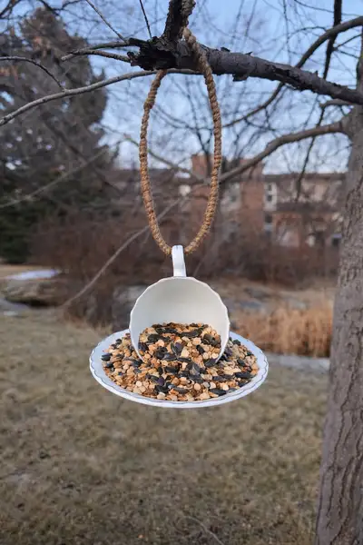 Tea Cup Bird Feeders, View more