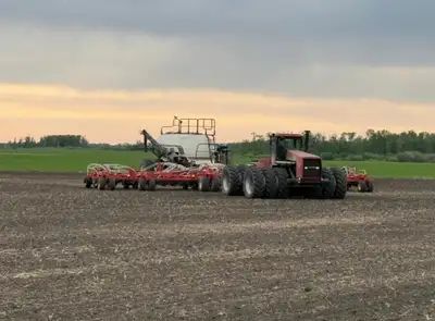 Custom Seeding, View more