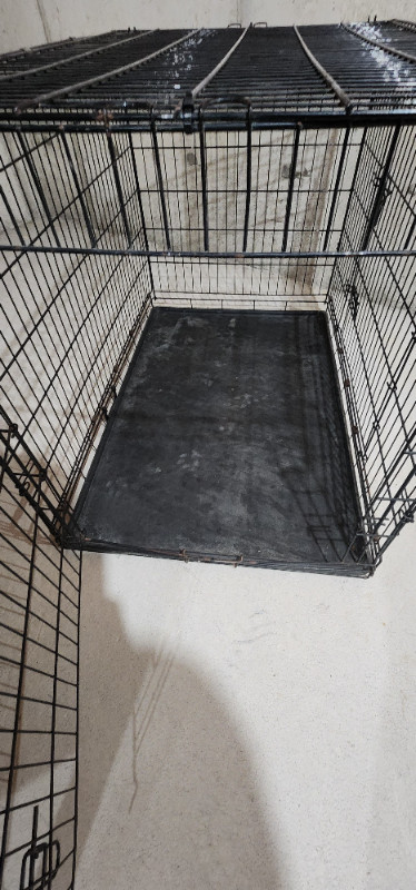 Folding Metal Dog Crate; Double Door 42 - USED! in Other in Mississauga / Peel Region - Image 3