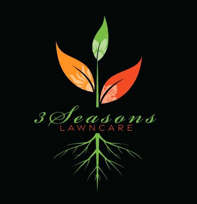 3 Seasons Lawncare in Lawn, Tree Maintenance & Eavestrough in St. Catharines