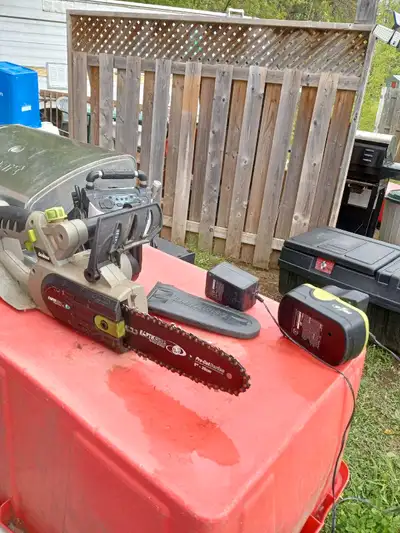 8" Pro-Cut Series, 18 volt, 2 batteries, works well.