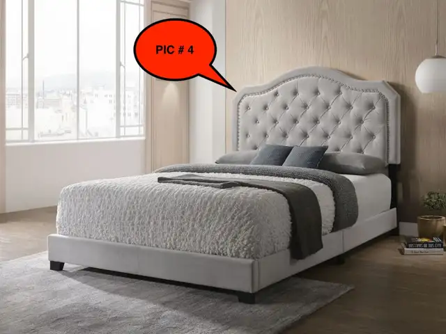 KINGSTON BED | BEDS STARTING FROM $199 ONLY DELIVERED in Beds & Mattresses in Kingston - Image 5