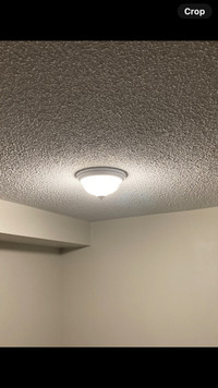 Flush mount ceiling light (2 pack)