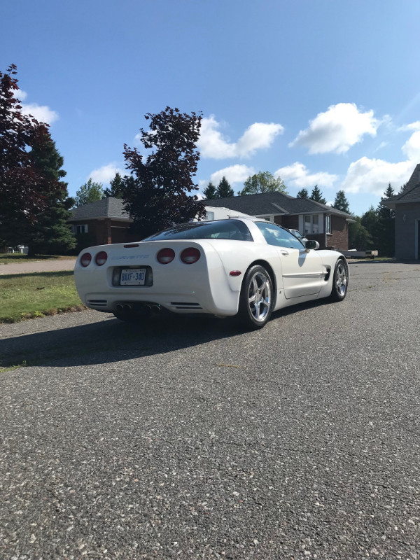 Corvette in Cars & Trucks in Thunder Bay - Image 3