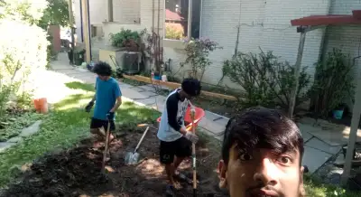 I am looking for a job in case you need help with painting, moving, cleaning, gardening, landscaping...