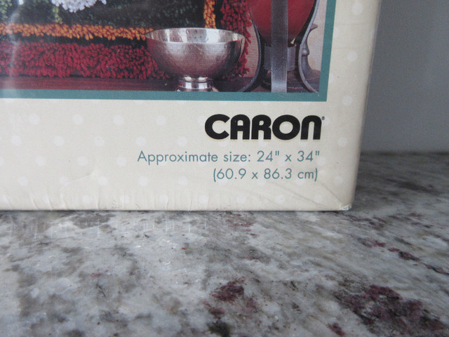 *New* Caron 24" x 34" Magnolia Medley Latch Hook Kit in Hobbies & Crafts in Edmonton - Image 3
