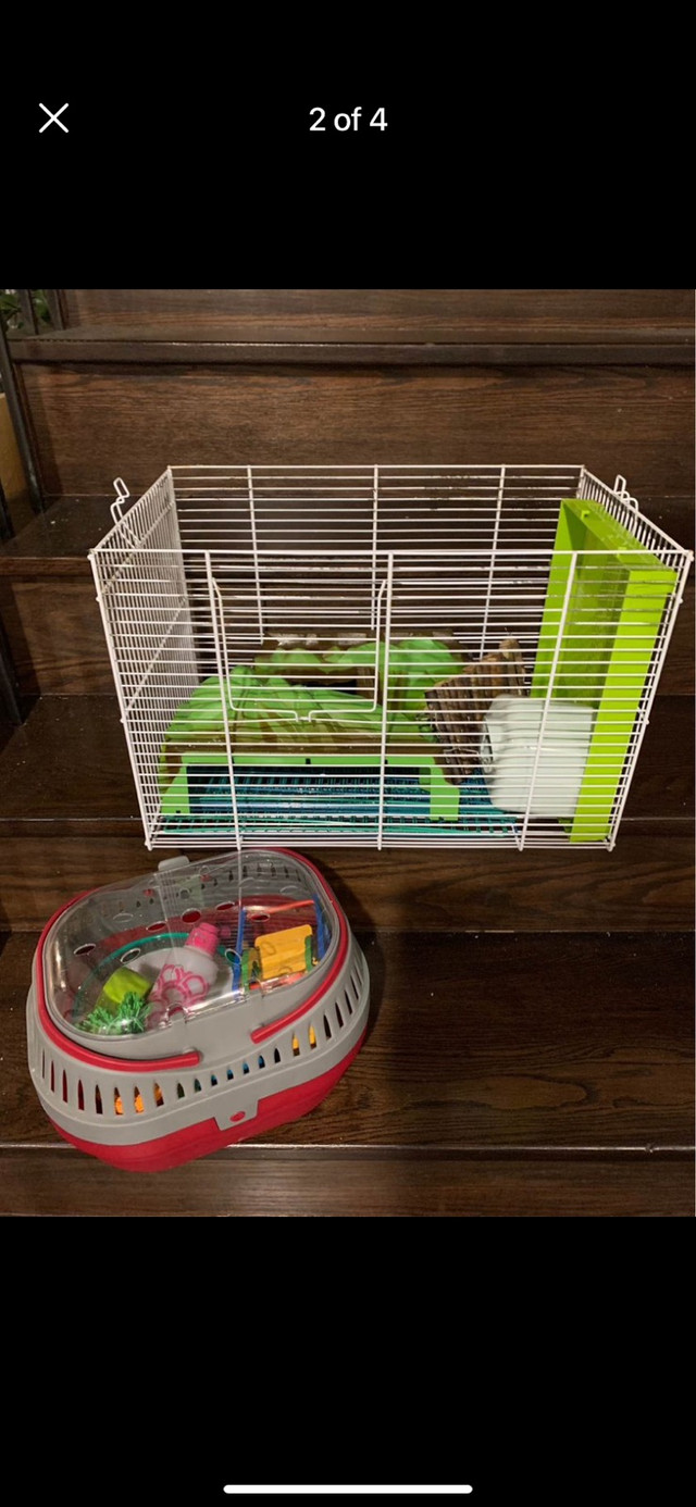 Small pet cage and accessories in Accessories in Markham / York Region - Image 2