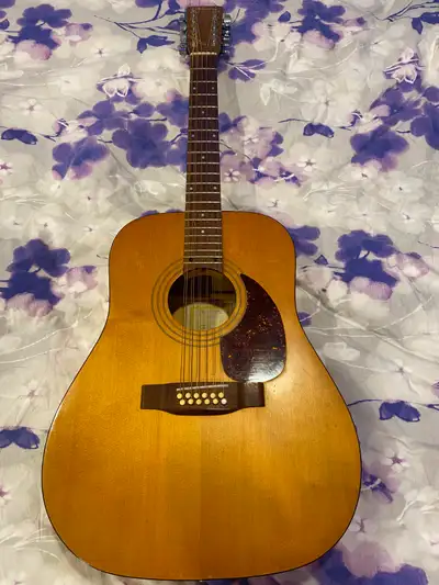 Norman 12-String Guitar, View more