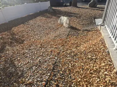 Lawn fall clean up regina and area for 2025/2025 season, View more