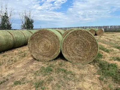 1st Cut Cattle Hay -Grass Blend -175 Rounds -Approx: 1400lbs/bale -Net Wrap Very Nice Bales Call for...