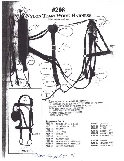 Harnais, attelage neuf pour chevaux, View more