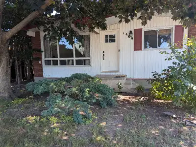 Room for Rent in Queenswood Heights, Orleans – $800/month (All Utilities Included) A private bedroom...