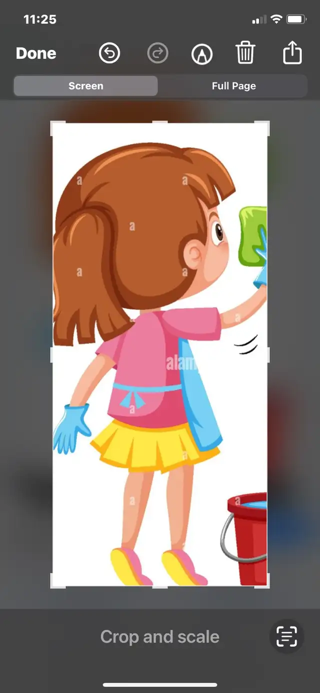 cleaning 64313483404163120