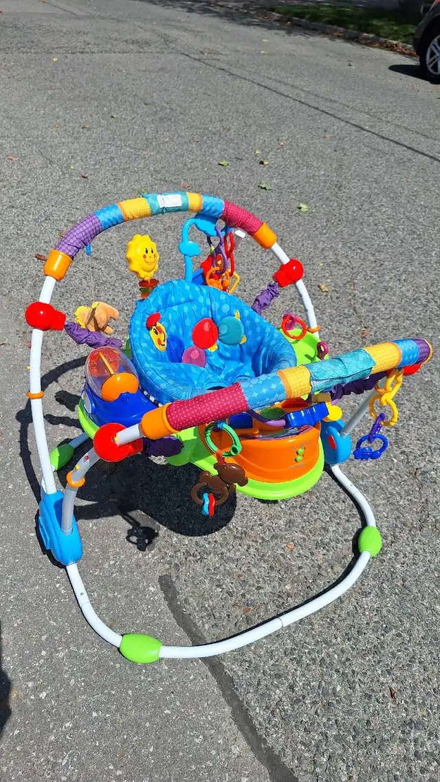 Baby Einstein Activity Jumper538441811819253765
