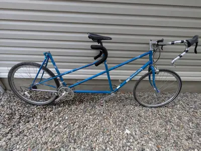Marinoni tandem - needs work, View more