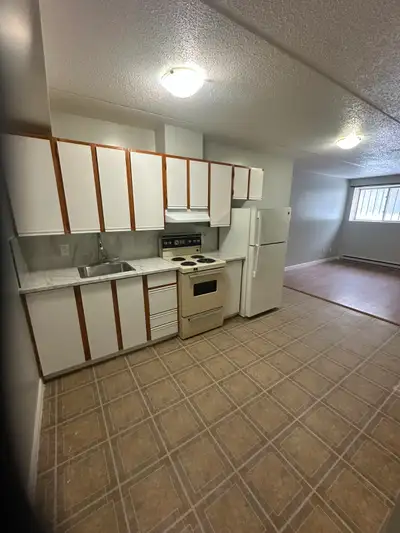 Bachelor available now in Minnow Lake area. Fridge, Stove, parking, utilities (heat, hydro, water) i...
