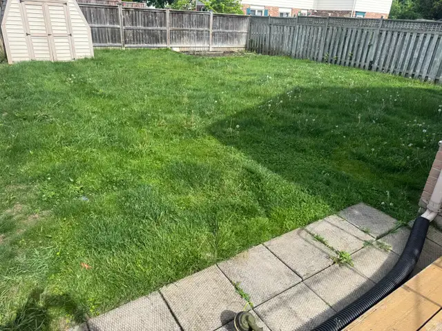 Grass Cutting529384748247296007