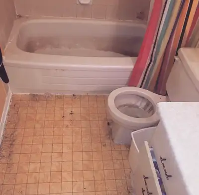 $149.99 Heavy Duty Steam Cleaning, View more