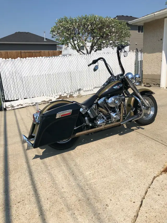2007 Harley-Davidson Softail Deluxe in Street, Cruisers & Choppers in Edmonton - Image 4