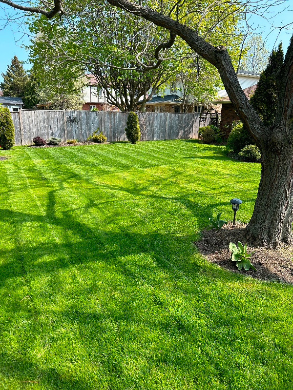 Lawn Care - Accepting 2024 Bookings Now! in Lawn, Tree Maintenance & Eavestrough in St. Catharines - Image 2