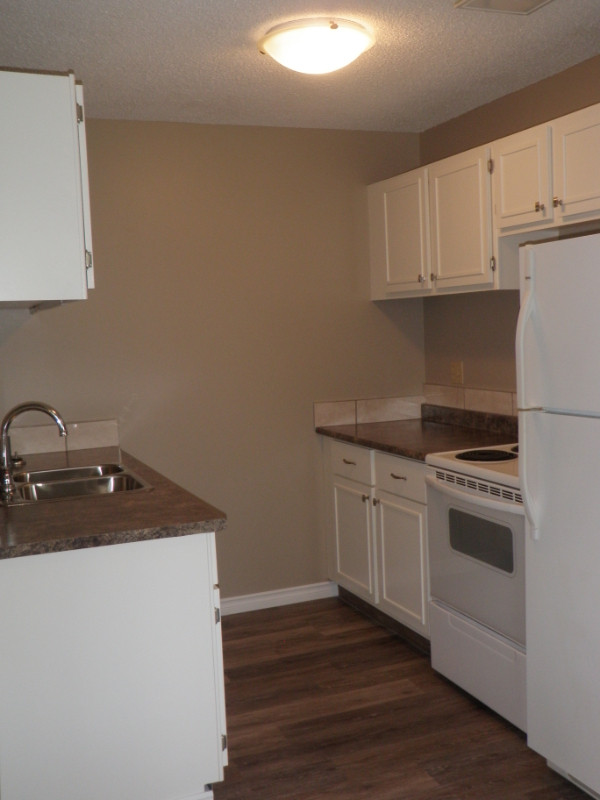 Only $765 Gorgeous 2 brm apartment in Shaunavon in Long Term Rentals in Swift Current