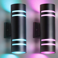 NEW: KIZON RGB LED Outdoor Wall Sconce 2 Pack