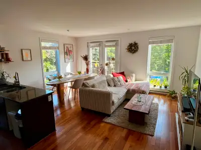 Condo 4 1/2 lumineux meublé, métro Beaubien